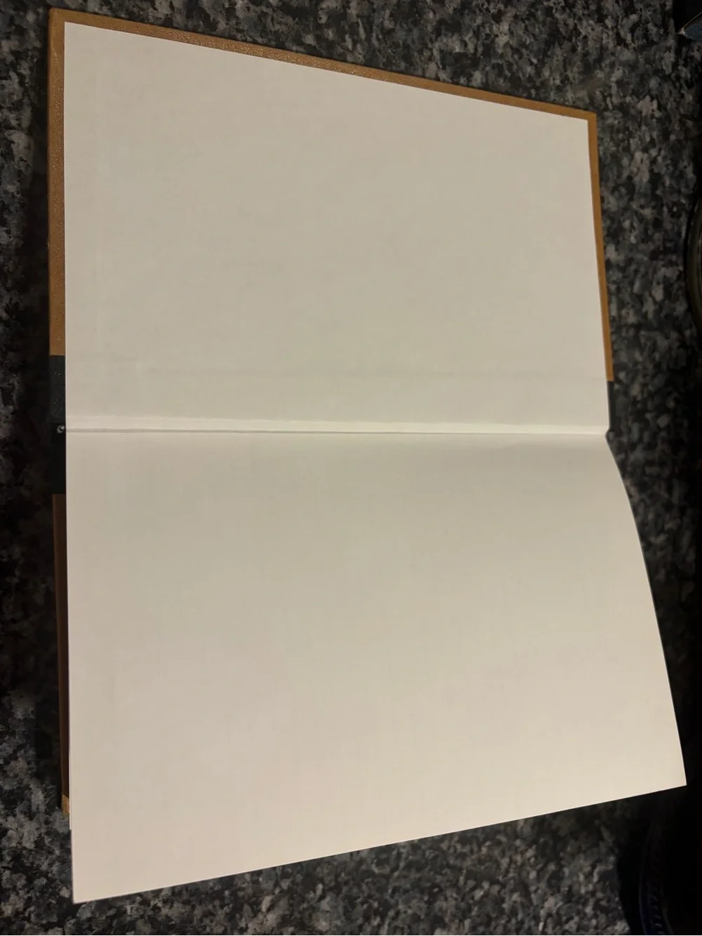 Michael Roger Press, Inc. Tree Journal with Black Spine